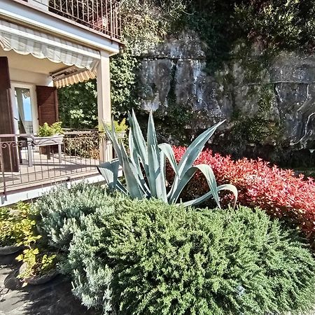 Citrus Apartment Brenzone Экстерьер фото